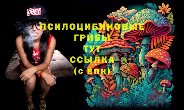мяу мяу мука Краснотурьинск