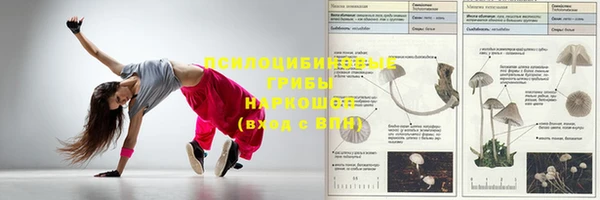 мяу мяу мука Краснотурьинск